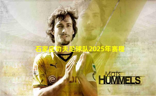 石家庄功夫足球队2025年赛程