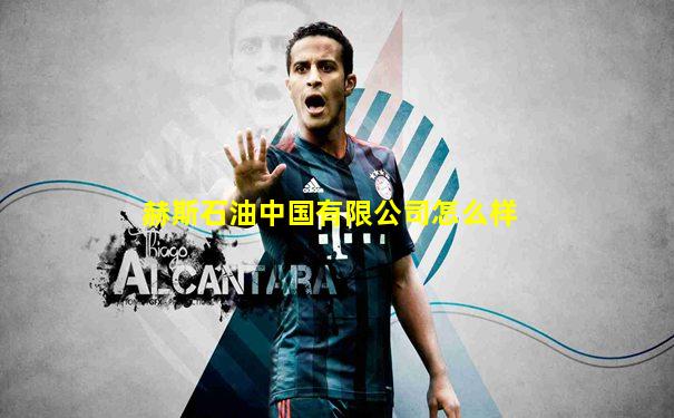 赫斯石油中国有限公司怎么样