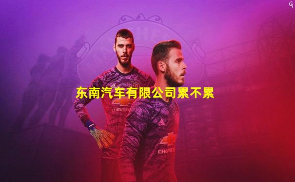 东南汽车有限公司累不累