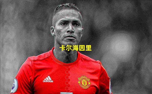 卡尔海因里