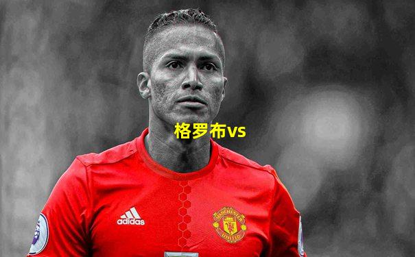 格罗布vs